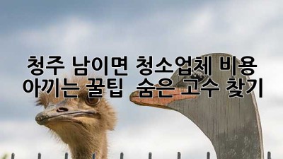 청주 남이면 청소업체🧹 비용 아끼는 꿀팁🍯 & 숨은 고수 찾기!