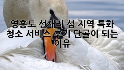 영흥도 선재리 섬 지역 특화 청소 서비스 후기: 단골이 되는 이유
